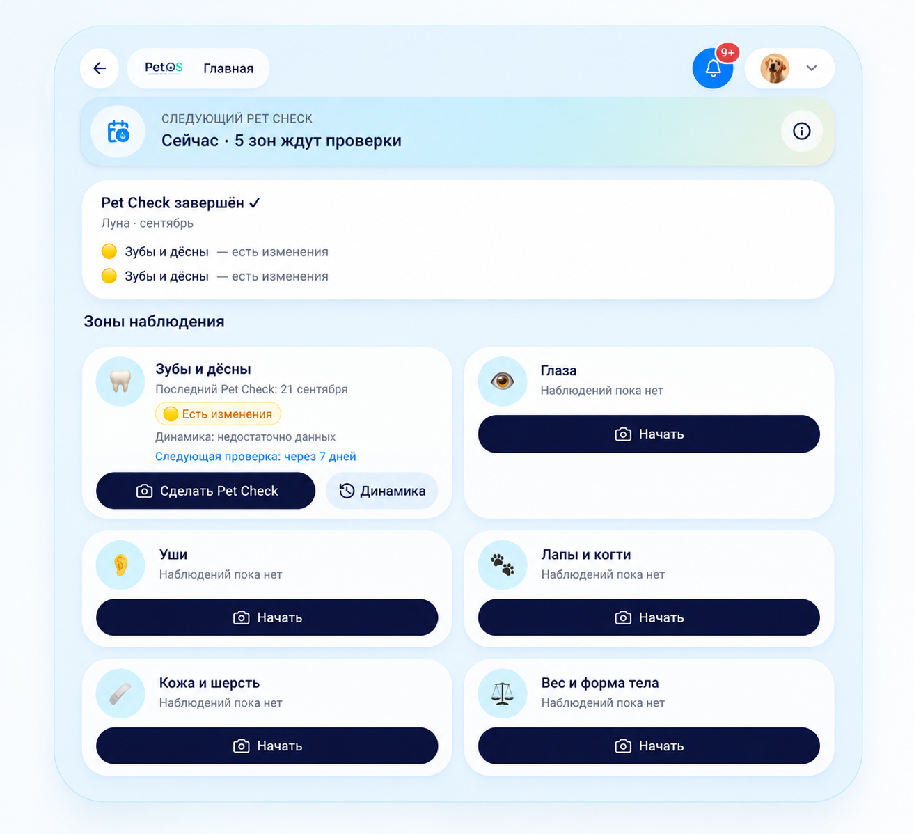 Экран PetOS: Pet Check — зоны наблюдения питомца, статусы и кнопки запуска проверки