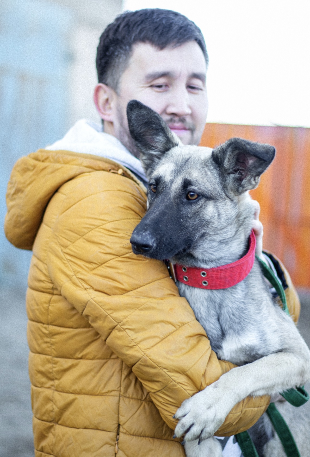 Собака из приюта со своим новым хозяином